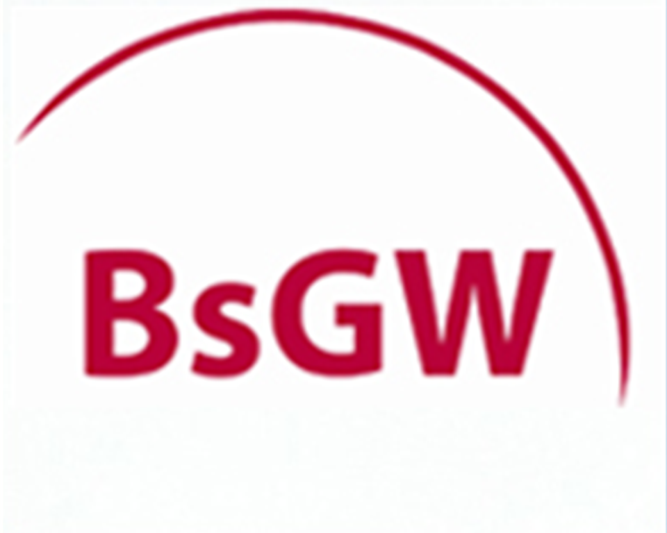 Logo BsGW