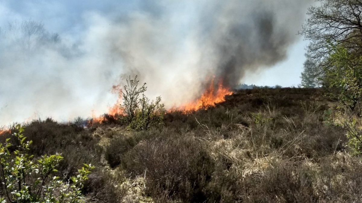 Meer risico op natuurbrand: ben alert in de natuur